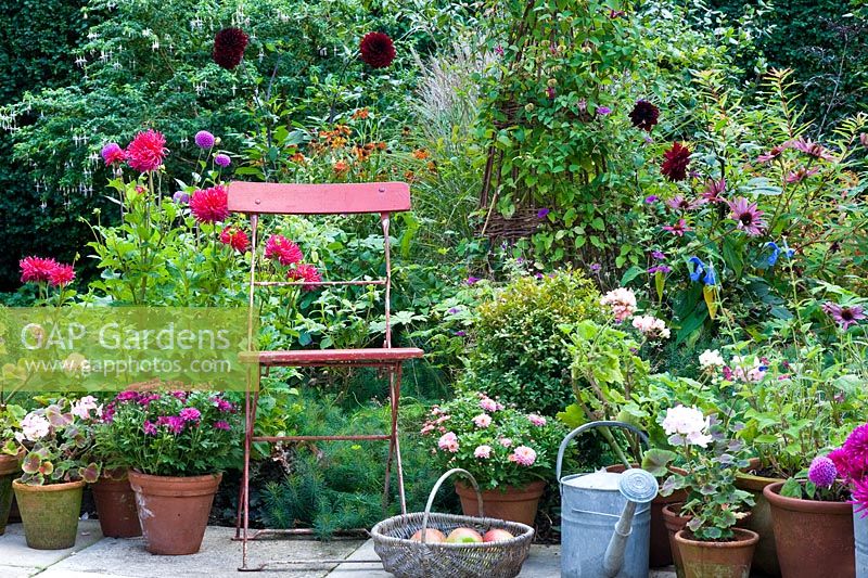 Red chair with pots of Chysanthemums, Geraniums and Dahlias on terrace