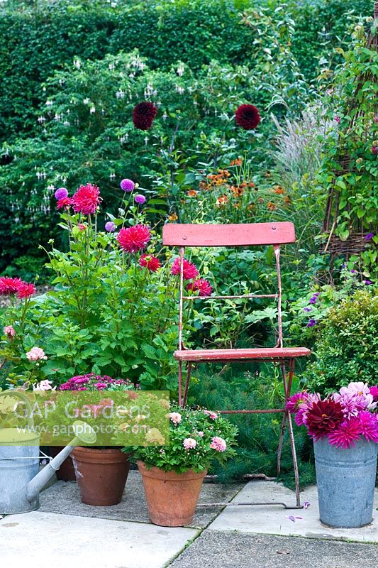 Red chair with pots of Chysanthemums and Geraniums 