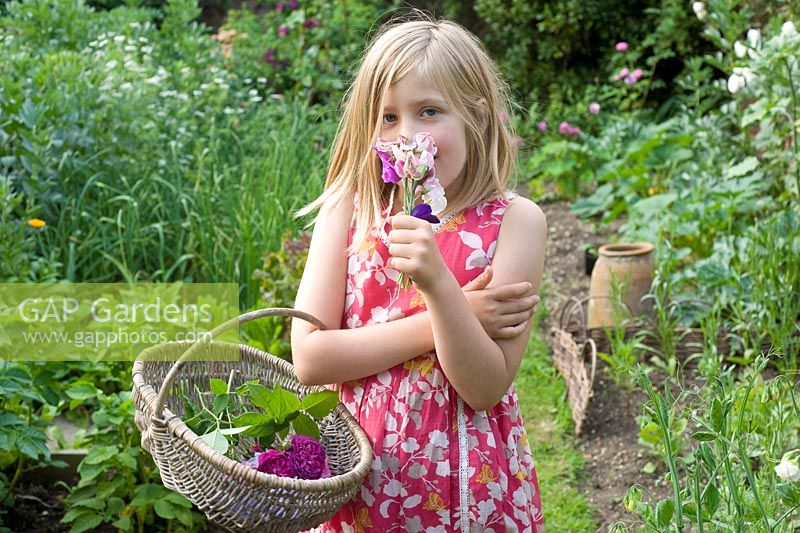 Young girl holding bunch of sweet peas