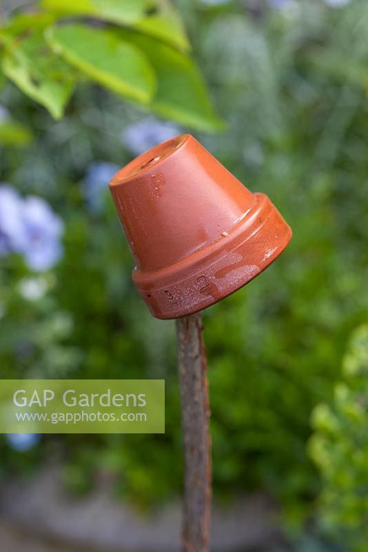 Clay pot used as a cane topper