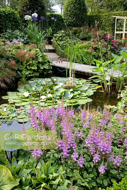 Pond with Astilbe chinensis 'Pumila' in foreground