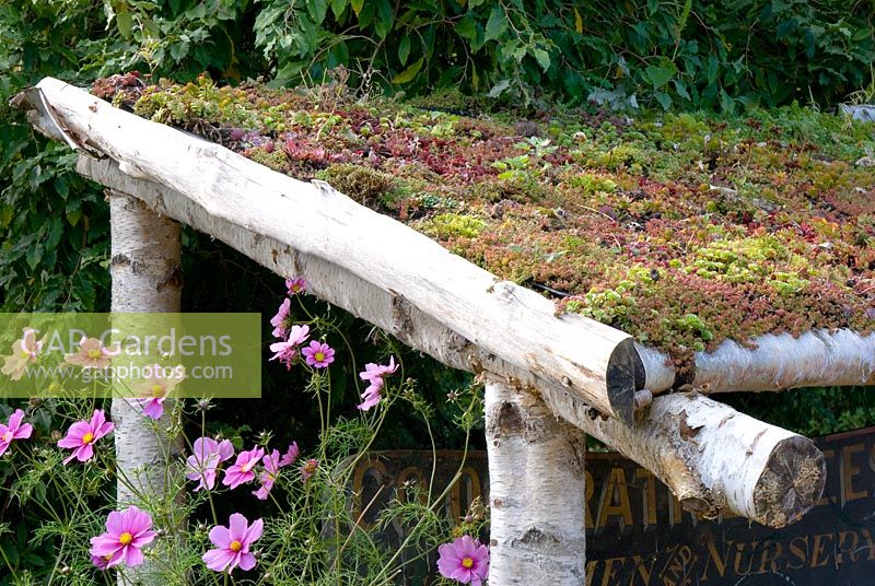 Living 'green' roof with Succulents at Ness Botanical Gardens, Cheshire