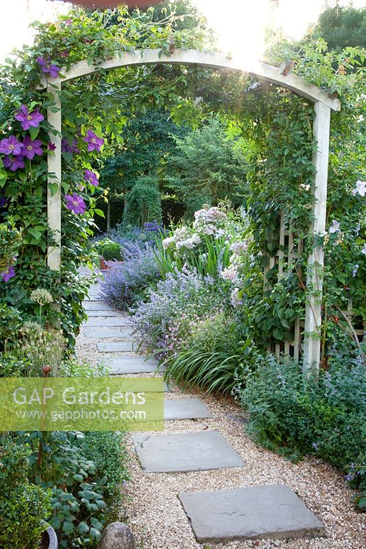Gravel path under wooden arch with Clematis growing up it in country garden.
