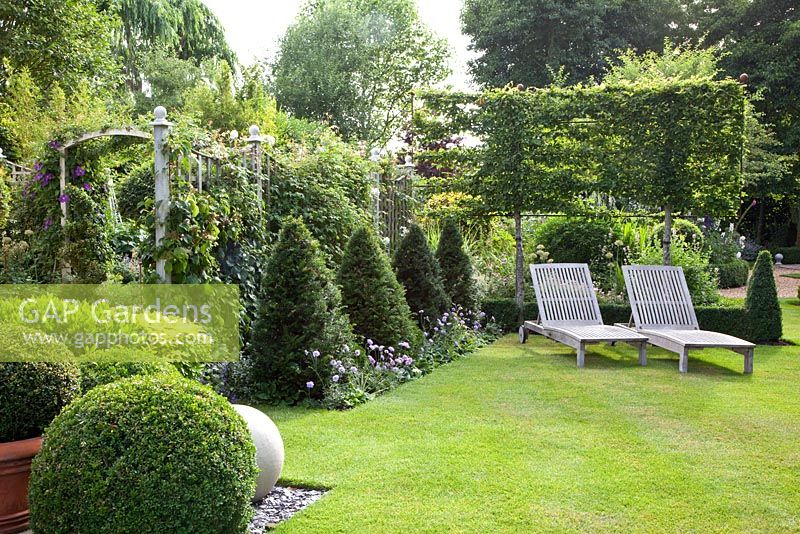 Country garden with loungers on lawn. Taxus - Yew pyramids, trained Capinus betulus - Hornbeam trees, Ligustrum and Buxus balls
 