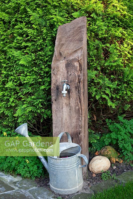 Galvanised watering can benath outdoor tap