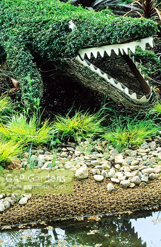 Topiary alligator by pool - International Gardens Festival, Chaumont-Sur-Loire, France. 2002