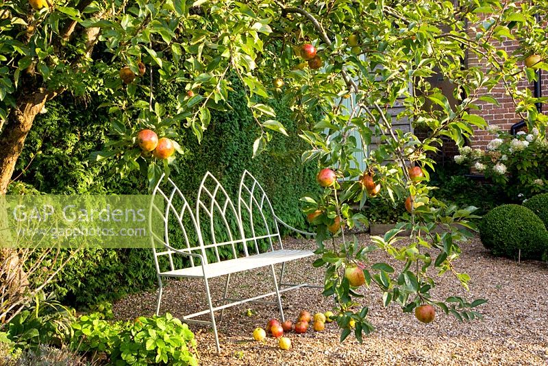 Painted metal bench beneath apple tree