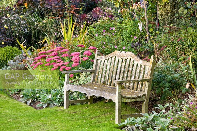 Wooden bench in country garden in late summer