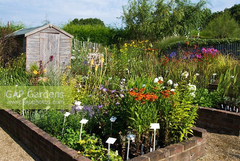 Plant sales area at Marchants Nursery, East Sussex