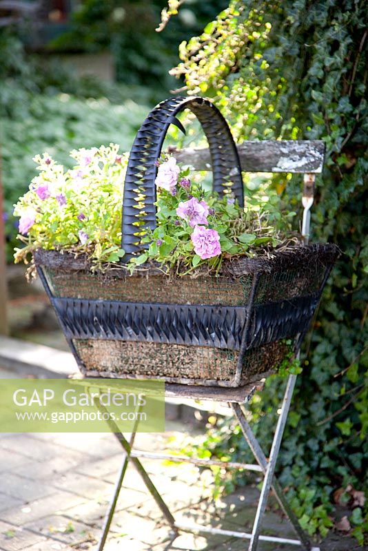Basket of flowers on garden chair
