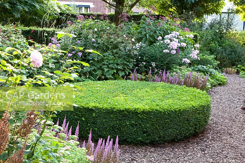 Late summer borders and clipped box topiary
