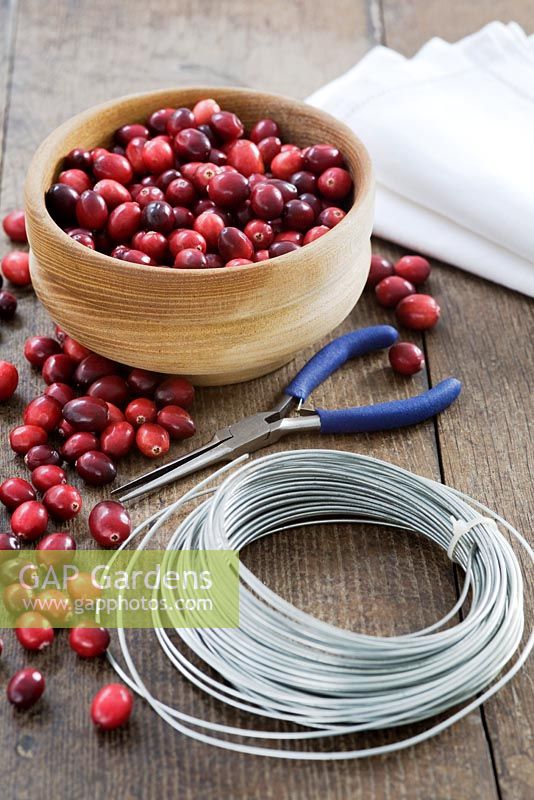 Making a Cranberry and Bay leaf decorative ring - All items needed, cranberries, wire, pliers and napkins