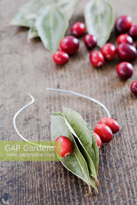 Making a Cranberry and Bay leaf decorative ring -  thread the cranberries on to the wire either side of the bay leaves 
