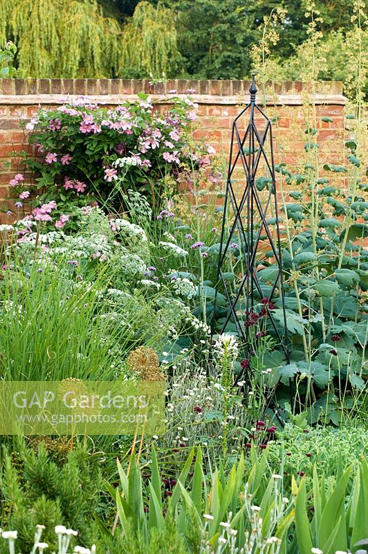 Border with metal obelisk ornament next to brick wall. Macleaya cordata, Clematis and Allium seedheads. The Bowman Garden