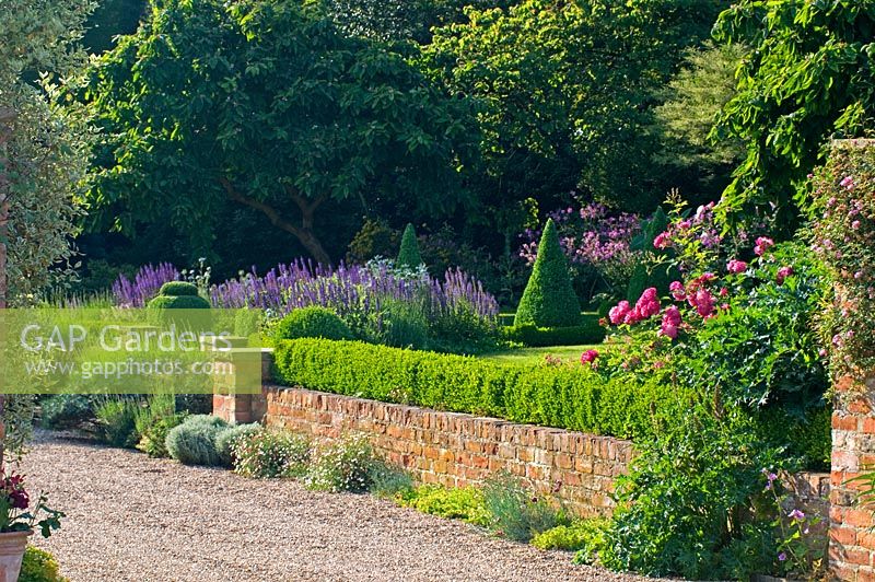 Gravel drive with view over low wall, Buxus - Box hedge, Rosa and Geranium to cottage garden. Mr and Mrs Marshall, Vicarage, Whixley, Yorkshire, UK NGS