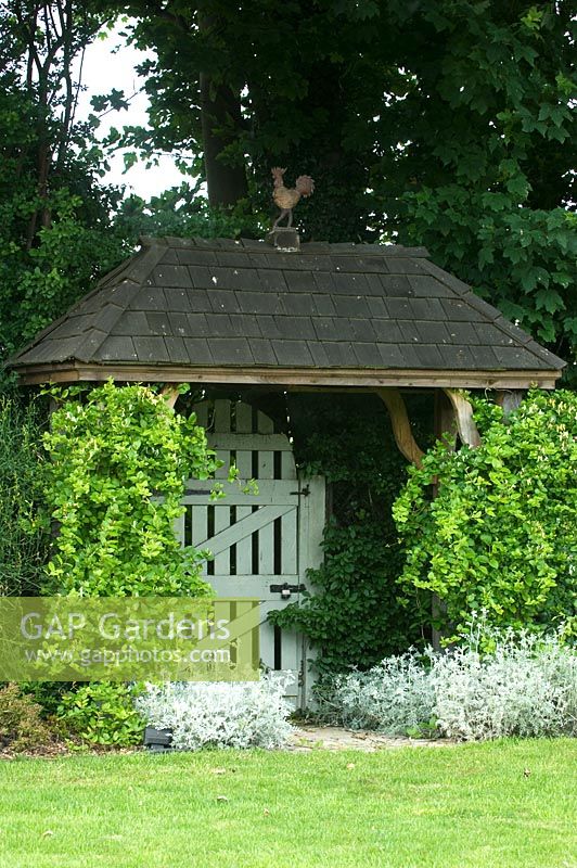Lonicera - Honeysuckle growing up wooden arch with gate underneath at Parsons Cottage
 