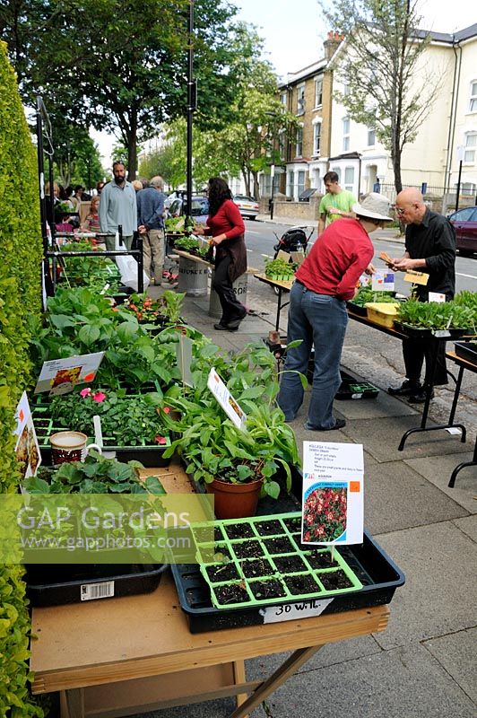 Plants for sale on trestle tables in street with people buying them, Hackney, London