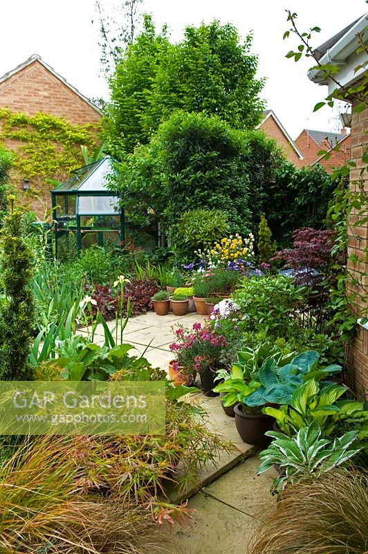 Small urban garden with paved patio area, containers and greenhouse - NGS garden, Foster Road, Peterborough, Cambridgeshire 
 
