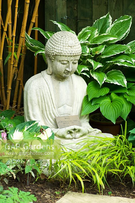 Small urban garden with Buddha ornament in bed of Hosta and Hakonechloa - NGS garden, Foster Road, Peterborough, Cambridgeshire