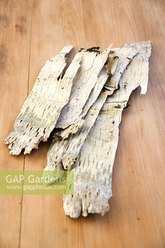 Making Christmas decorations from birch bark - Sheets of flattened bark