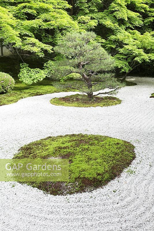 A karesansui or dry rock garden, Tenju-an, subtemple of Nanzen-ji - Nanzen-ji, Kyoto, Japan