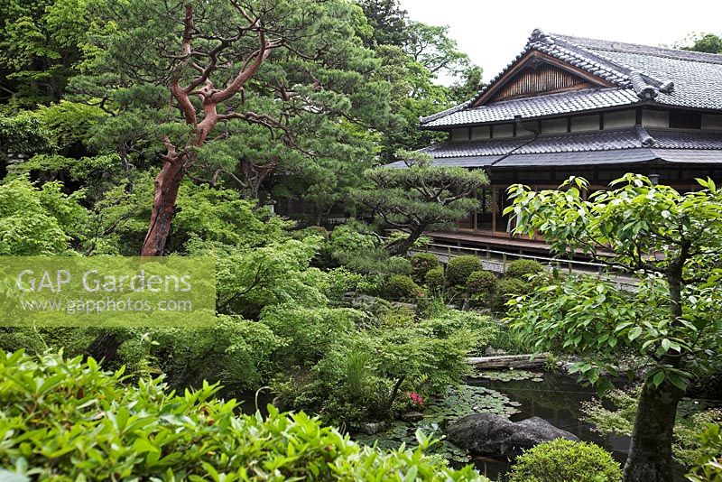 Ike or Pond garden - Yoshikien garden, Nara, Japan