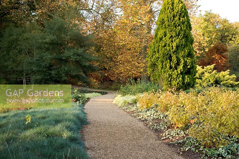 The Winter Garden walkway in Autumn, with colourful planting either side - The Savill Garden, Windsor Great Park