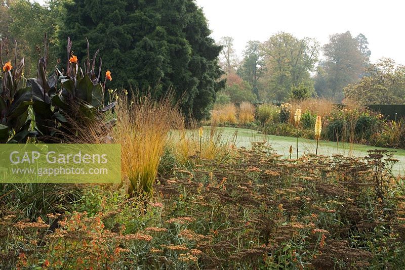 Kniphofia 'Tawny King', Achillea, Canna indica 'Purpurea' and Molinia caerulea 'Heidebraut' - The Savill Garden, Windsor Great Park