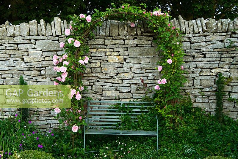 Seat framed by rose arch - Coastal Garden, Dorset