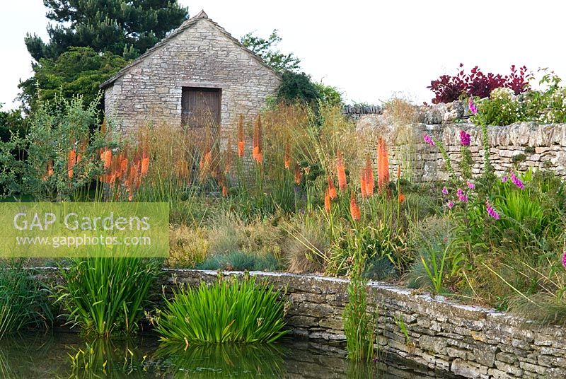 Farm pond surrounded by Digitalis, Allium seedheads and Eremurus x isabellinus 'Cleopatra' - Coastal Garden, Dorset
