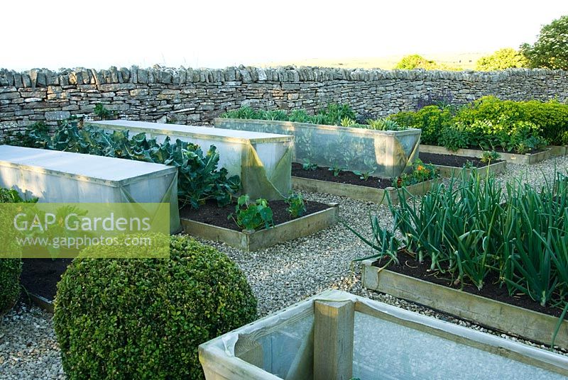 Formal vegetable garden featuring clipped box and windbreak frames to protect the plants from prevailing wind - Coastal garden, Devon 
