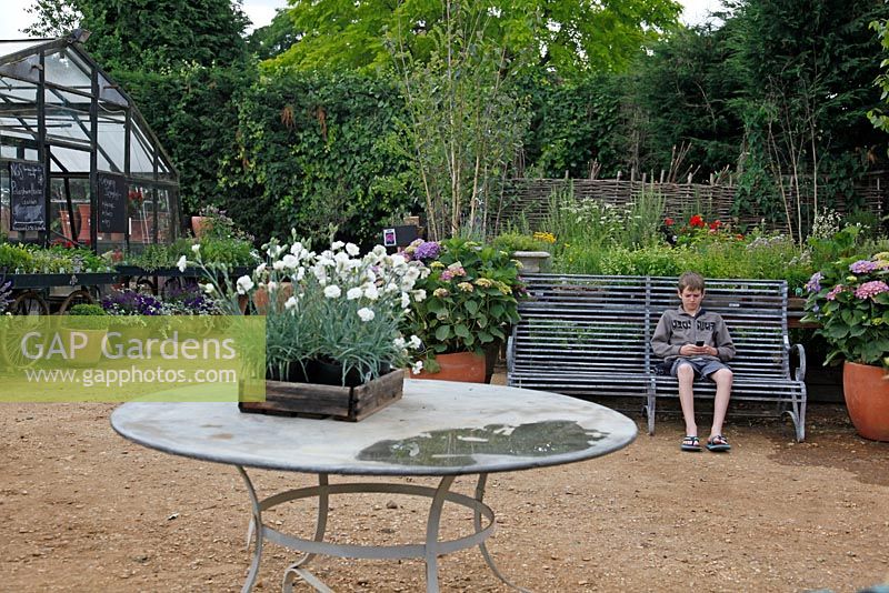 Plants for sale and boy sitting on bench at Petersham Nurseries, Richmond, Surrey