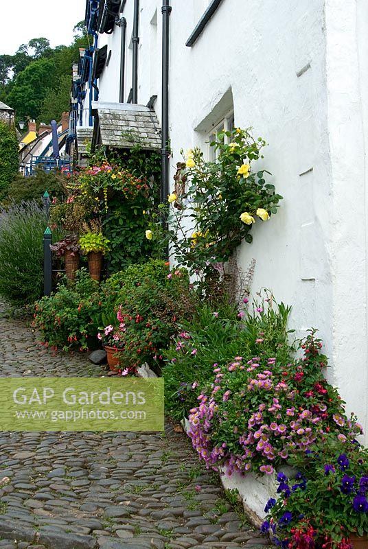 Steep cobbled street is lined with plants in containers. Clovelly Court, Bideford, Devon, UK