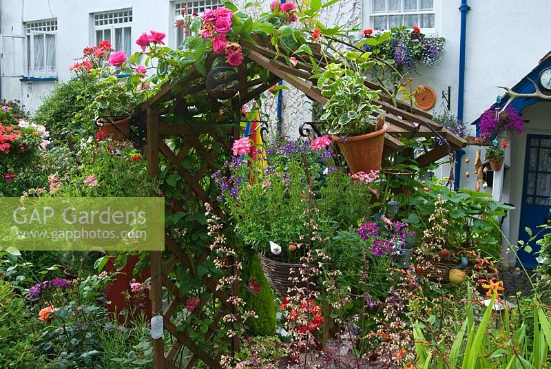 Colourful front garden with Rosa - Roses and containers on wooden arch. Clovelly Court, Bideford, Devon, UK