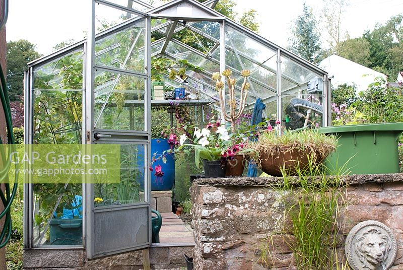 Greenhouse at Church View, Appleby-in-Westmorland, Cumbria NGS
