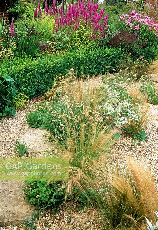 Gravel garden and borders with late summer Perennials and grasses. The Coach House, Hants