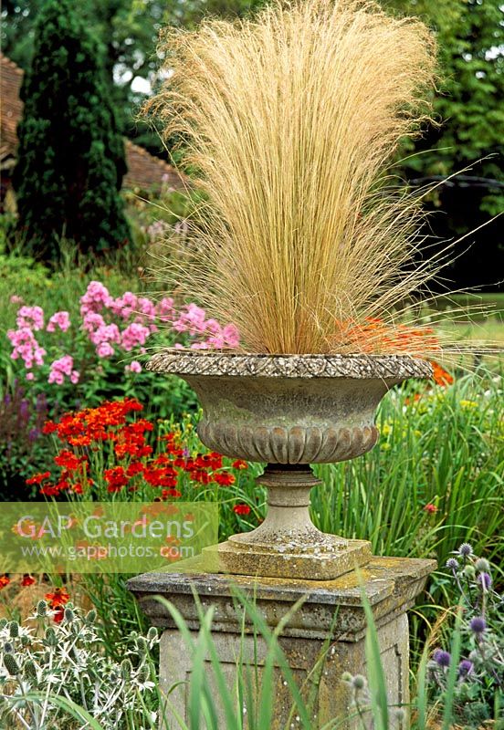 Stipa tenuissima in stone container. The Coach House, Hants