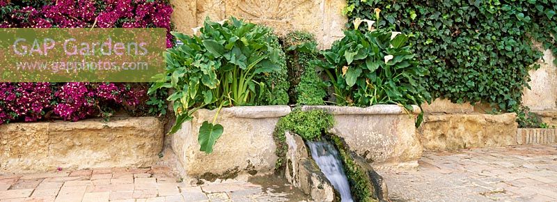 A rill of water emerging from a wall in the gardens at Alcazar de los Reyes Cristianos, Cordoba, Spain