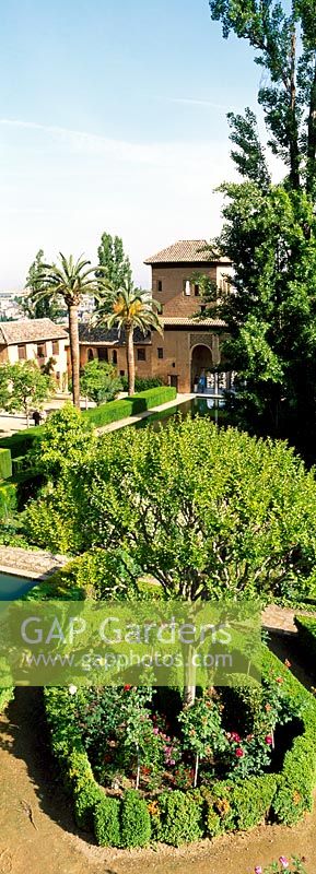 Overlooking the gardens of the Alhambra, Granada, Spain