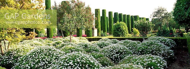 The gardens at Alcazar de los Reyes Cristianos, Cordoba, Spain