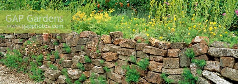 A retaining dry stone wall made from recycled bricks