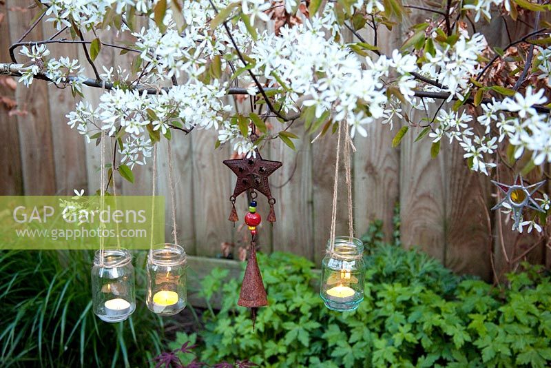 Tealights in jars hanging from a pleached Amelanchier lamarckii.