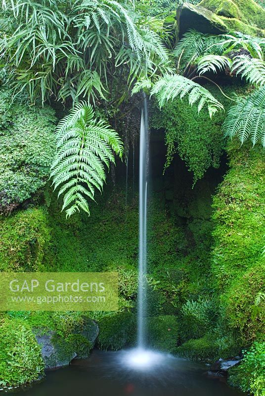 Waterfall in The Fernery at Tatton Park, Cheshire.