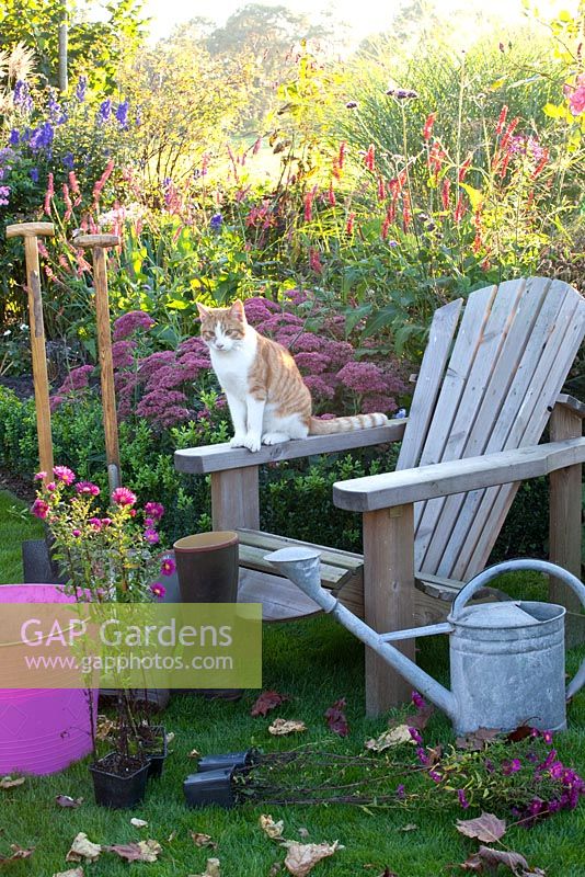 Autumnal still life with wooden chair, cat and gardening tools
