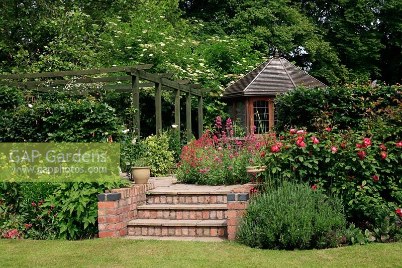 Brick and slab steps leading to a raised patio, timber pergola and summerhouse surrounded by Rosa, Lavandula - Lavender and perennials. 