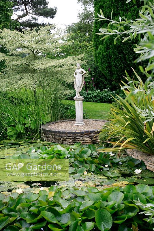 Classical statue on a tall plinth set on a raised circle at the edge of a Nymphaea - Waterlily pond. Cornus alternifolia 'Argentea' -  Pagoda or Wedding Cake tree behind. Sheephouse, Painswick