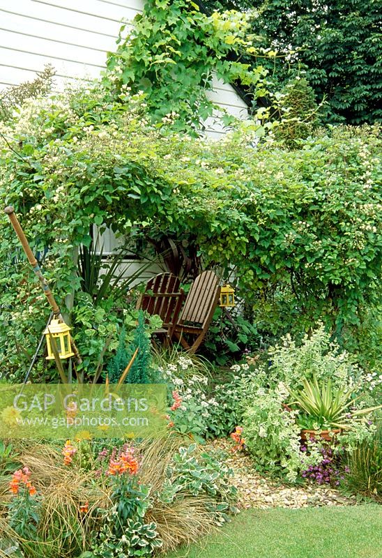 Seaside themed garden. Seating area covered with Clematis, childrens play area with sandpit. Borders of variegated plants, grasses and Antirrhinum. 