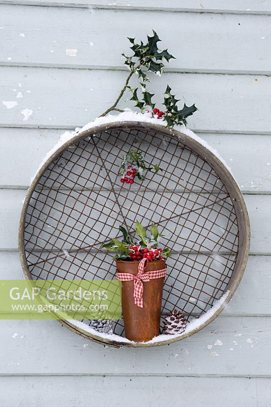 Snowy rusty pot with Ilex - Holly sprigs balanced on wooden sieve