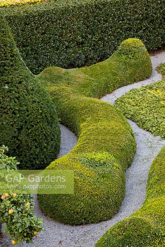 Snake shaped Buxus topiary and gravel paths