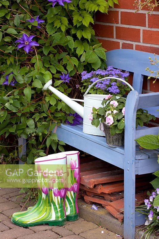 Patterned wellies by blue bench and watering can surrounded by Clematis